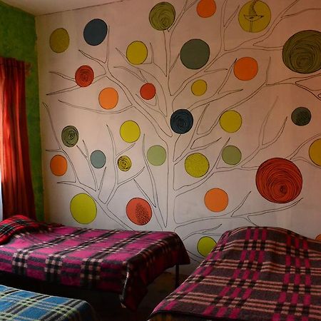 Chill Hostelメキシコシティ 部屋 写真